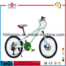 Bicicleta de montaña de los niños de la bici de montaña de los niños de la venta caliente hecha en China para el muchacho